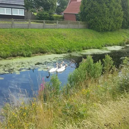 Апартаменты Daddeldu Sudbrookmerland