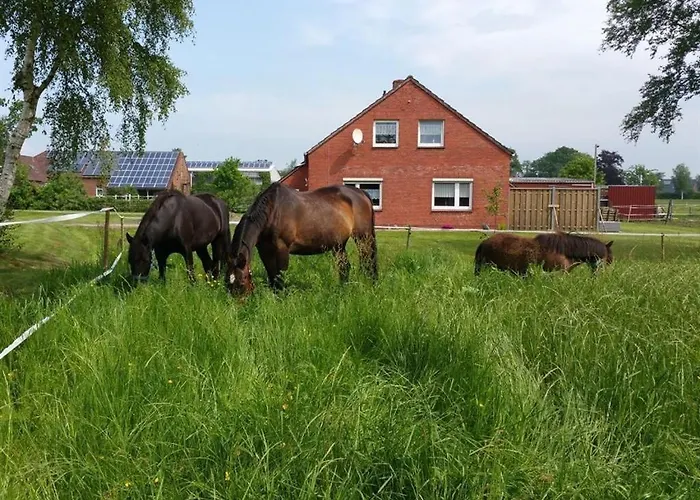 Daddeldu * Südbrookmerland